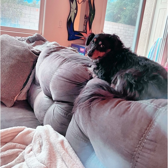 Meet your Posher, Gina - Picture 2 of 2